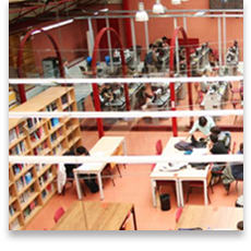 biblioteca