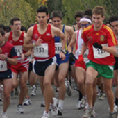 Cross Rector