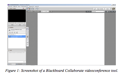 Figure 1: Screenshot of a Blackboard Collaborate videoconference tool.