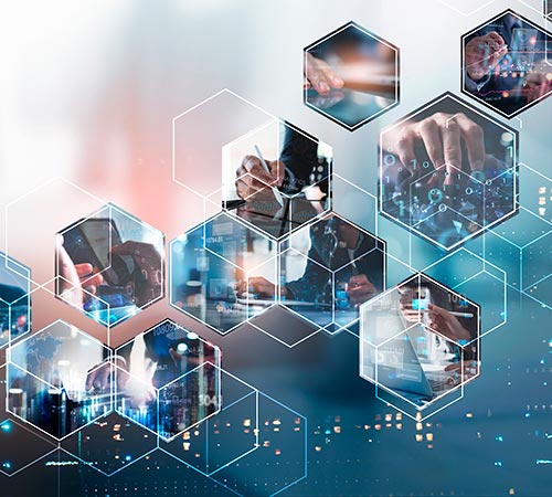 Grupo de Investigación