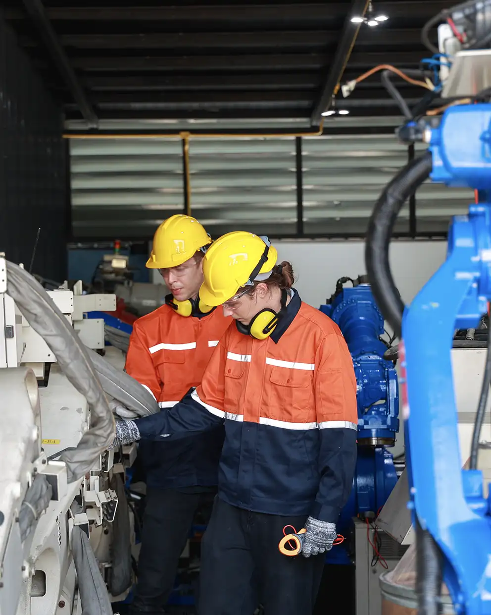 Universidad Nebrija | Grado en Ingeniería Logística y Organización Industrial