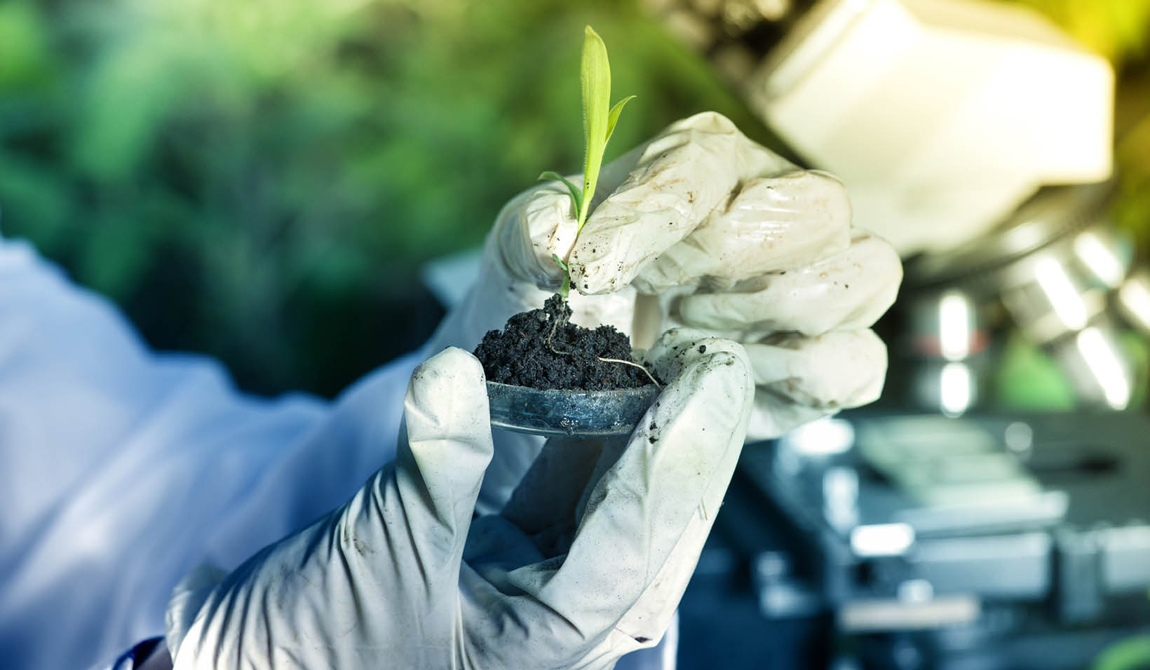 Ventajas de la incorporación de los avances biotecnológicos en la agricultura.