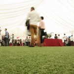 XIX edición del Foro de Empleo de la Universidad Nebrija