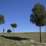 Campeonato Universitario de Madrid 2017 de Orientación
