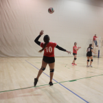 Voleibol femenino