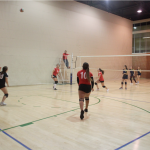 Voleibol femenino