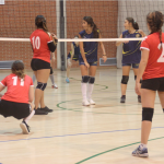 Voleibol femenino