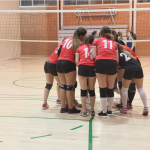 Voleibol femenino