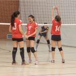 Voleibol femenino
