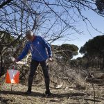 Campeonato de Orientación