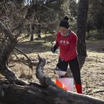 Campeonato de Orientación