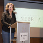 "Estado liminal", la exposición que reflexiona sobre los estados transitorios