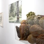 Los alumnos de Bellas Artes exponen sus obras en la galería Es[positivo]