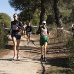 XXIV Cross Nebrija