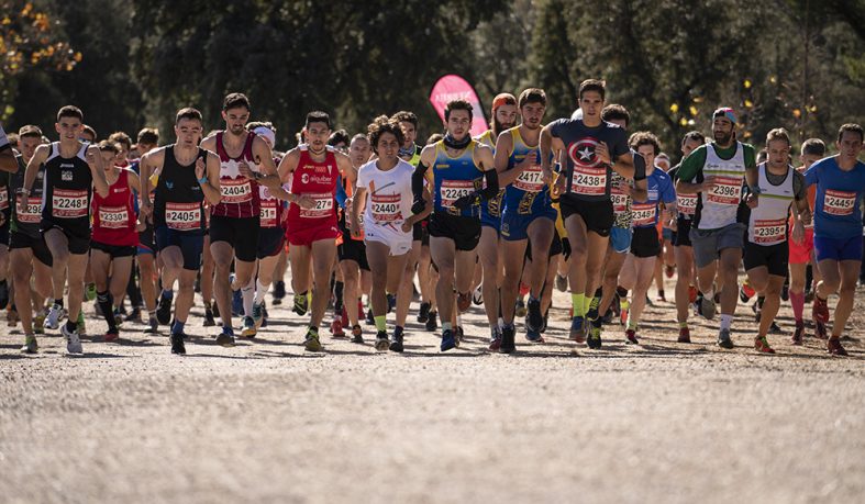 XXIV Cross Nebrija