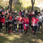 XXIV Cross Nebrija