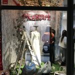 Escaparate Diseños de Moda