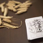 Exposición "De la divina a la humana: Thesmoforias"