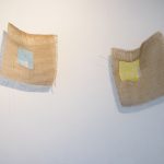 Exposición Simbiosis