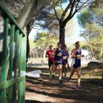 XXVI Cross Trofeo Rector