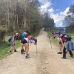 Camino de Santiago con Nebrija 2022