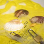 XXIV Premio Jóvenes Emprendedores