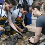 Taller de impresión 3D de cerámica