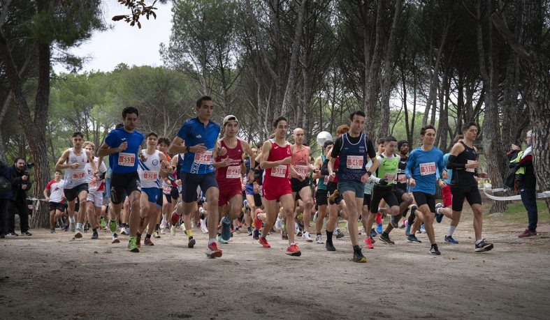 Cross Nebrija 2023