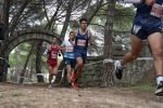 Cross Nebrija 2023