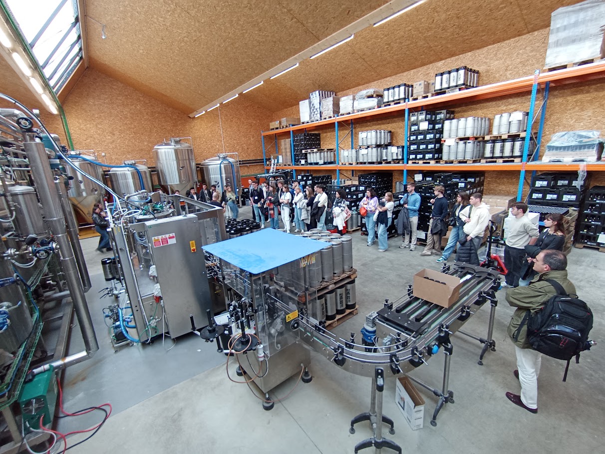 plan-de-mercadeo-para-asesorar-a-una-Cerveceria-artesanal-local