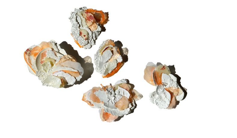 Cova Ríos. Bio Recover