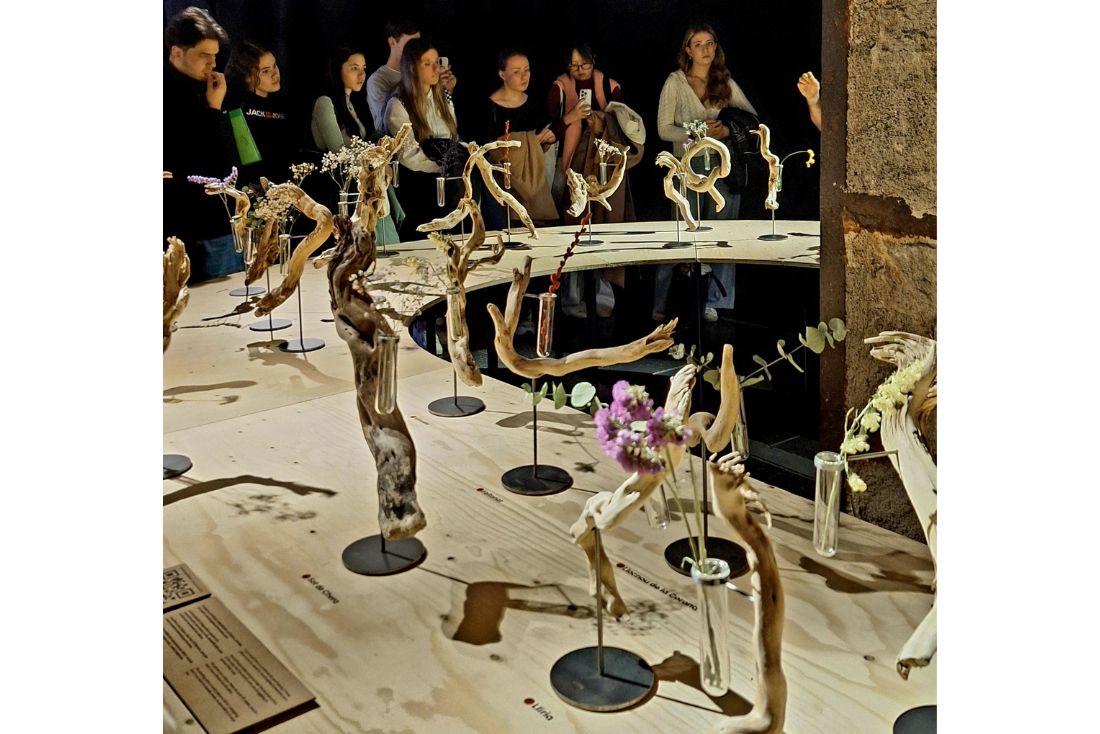 Héctor Serrano, Raíces Solidarias