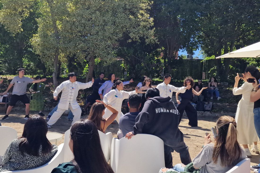 Intercambio lingüístico entre danzas y artes marciales (2)