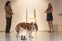 La síntesis, nada convencional ni objetiva, de un curso universitario para el recuerdo