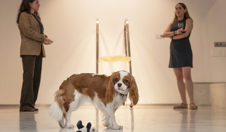 La síntesis, nada convencional ni objetiva, de un curso universitario para el recuerdo