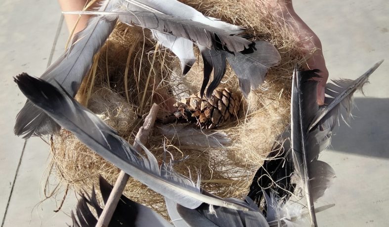 AVECINAS profesores Nebrija