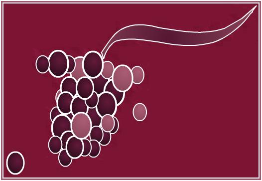 Vinos