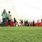 XVIII Foro de Empleo Universidad Nebrija