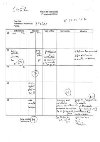 Fig. 2. Ficha de calificación completa